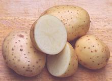 Maris Piper Potatoes