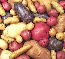 Assorted Potatoes