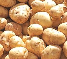 New potatoes