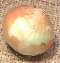 Texas 1015 Onion