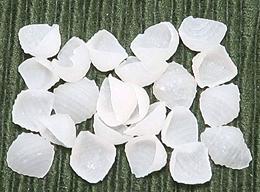 Small Rice Noodle Shells