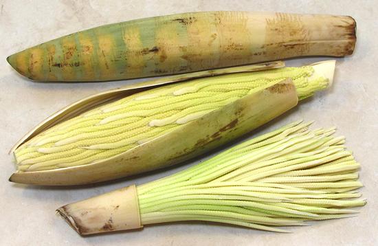 Pakaya Fresh Inflorescences