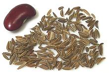 Caraway Seeds