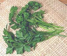 Parsley Fronds, flat & Curley