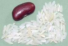 American Long Grain White Rice Grains