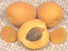 Whole & Cut Apricot Fruit