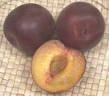 Whole & Cut Black Apricot Fruit