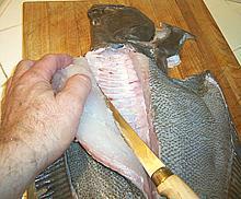 Filleting