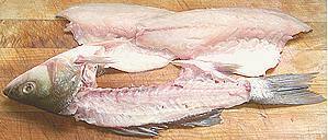 Fish after Filleting