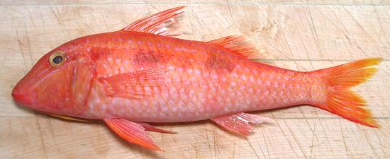 Whole Two Saddle Goatfish