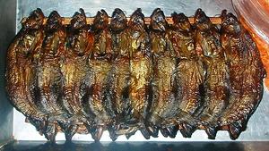 Dried Smoked Bronze Featherback Fish