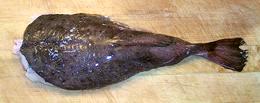 Monkfish Tail