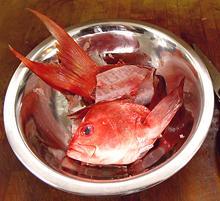 Fish Parts for Soup Stock