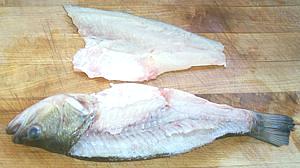 Fish