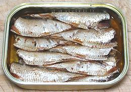 European Sprats, Canned as Sardines