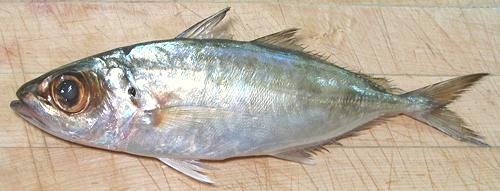 Whole Bigeye Scad