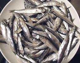 Bowl of European Whitebait