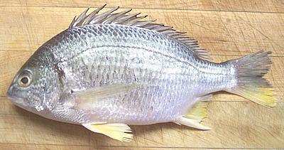 Whole Yellowfin Seabream