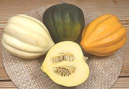 Acorn Squash