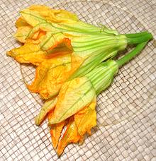 Squash Flowers