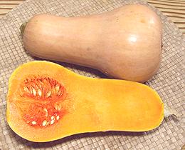 Butternut Squash