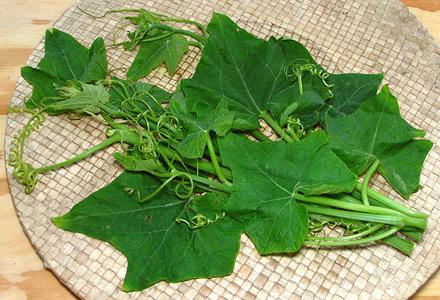 Fronds of Chayote Greens