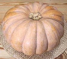 Moschata Pumpkin