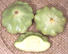 Pattypan Squash