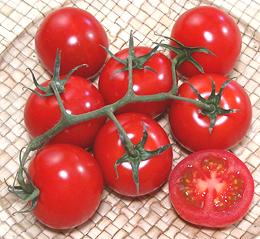 Campari Tomatoes, Whole and Cut