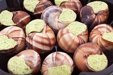 Stuffed Snail Shells