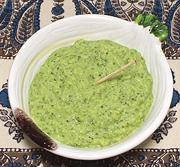 Bowl of Fava Dill Dip