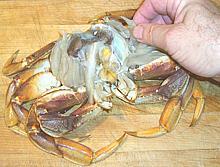 Remove gills