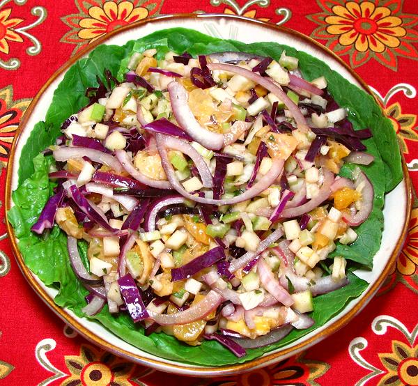 Bowl of Red Cabbage with Fennel Salad