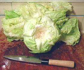 Cored Cabbage